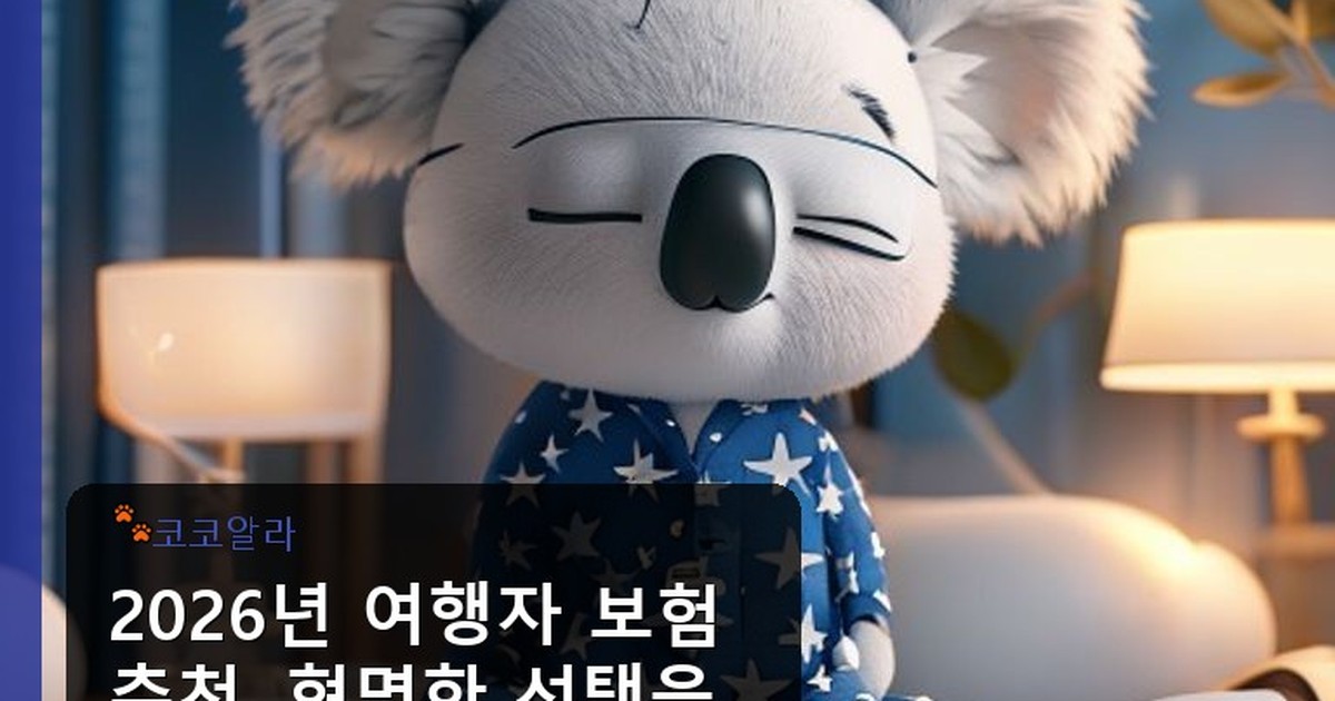 여행자 보험 추천 - legal.aaa12a.co.kr 캐릭터