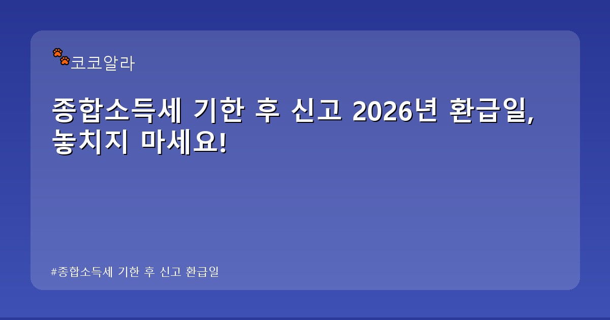 종합소득세 기한 후 신고 환급일 - legal.aaa12a.co.kr 캐릭터